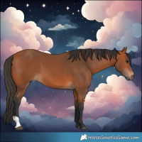 Horse Color:Bay and Bay