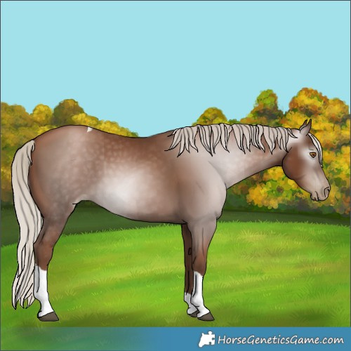 Horse Color:Gray Silver Black Pearl Tobiano