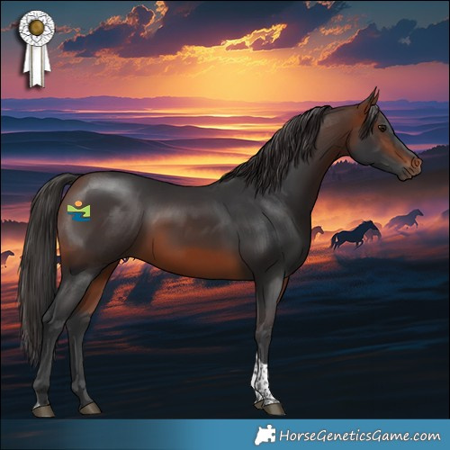 Horse Color:Bay Tobiano Rabicano 