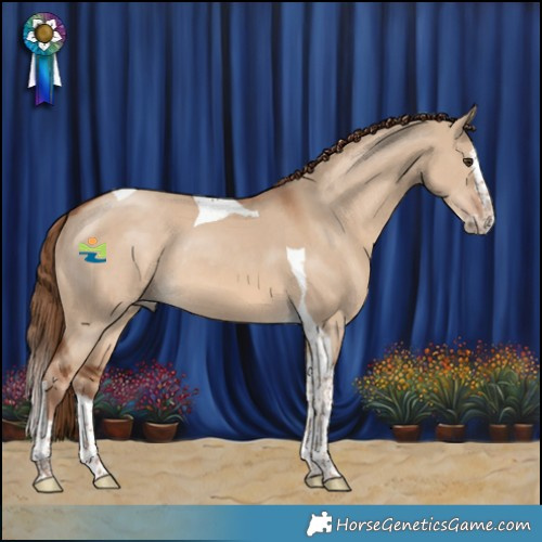 Horse Color:Red Dun Splash Tobiano Rabicano