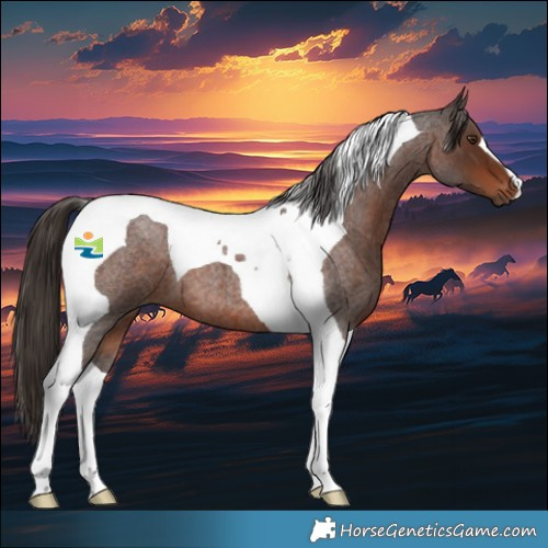 Horse Color:Liver Red Roan Tobiano