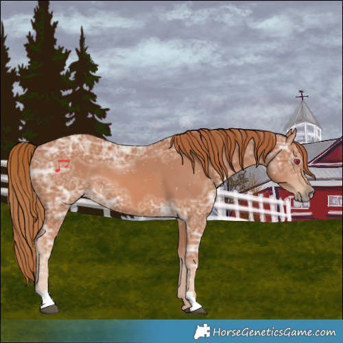 Horse Color:Chestnut Ice