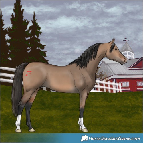 Horse Color:Bay Dun