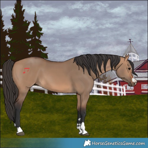 Horse Color:Bay Dun