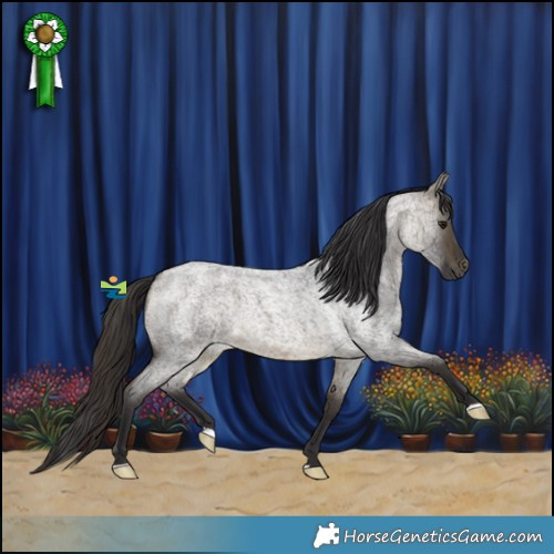 Horse Color:Buckskin Roan 