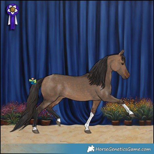 Horse Color:Bay Dun Tobiano 