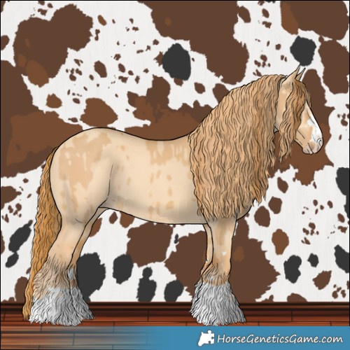Horse Color:Red Dun and Gold Champagne Dun