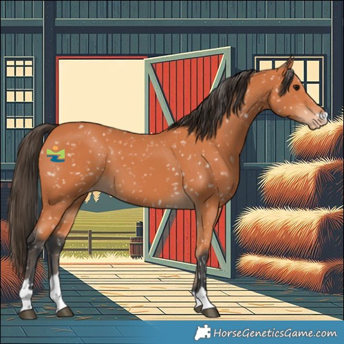 Horse Color:Bay Snowflake Varnish