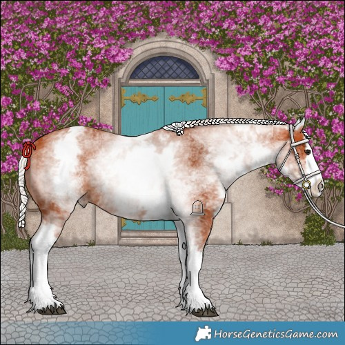 Horse Color:White Spotted Silver Bay Splash 