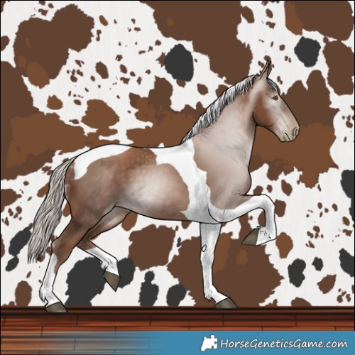 Horse Color:Gray Silver Black Pearl Tobiano