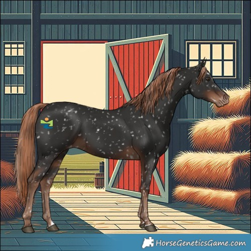 Horse Color:Liver Chestnut Snowflake Varnish
