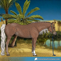 Horse Color:Silver Black 
