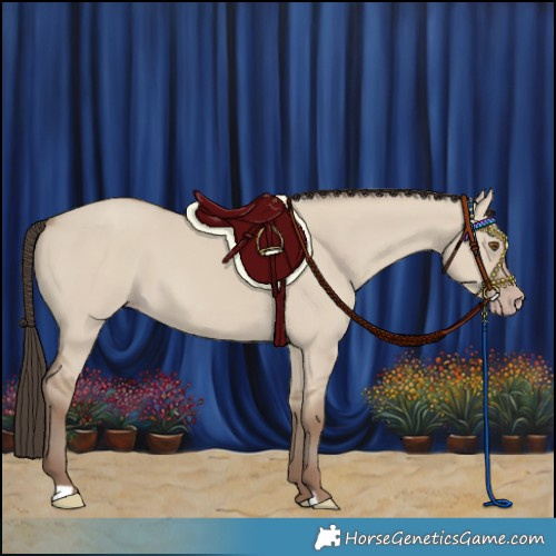 Horse Color:Classic Champagne Dun 