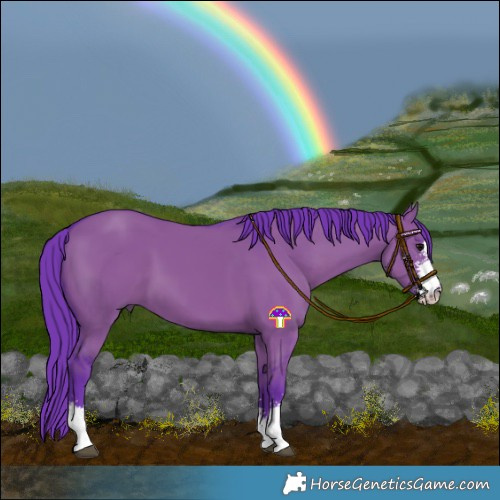 Horse Color:Watercolor Grullo Sabino