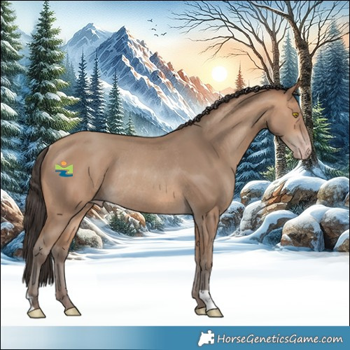 Horse Color:Amber Champagne Rabicano