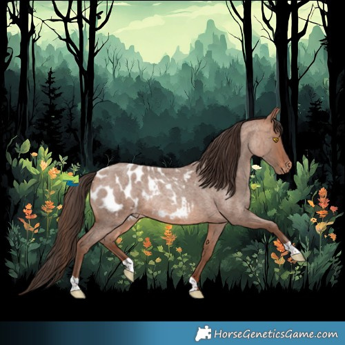 Horse Color:Sable Champagne Roan Blanket Rabicano