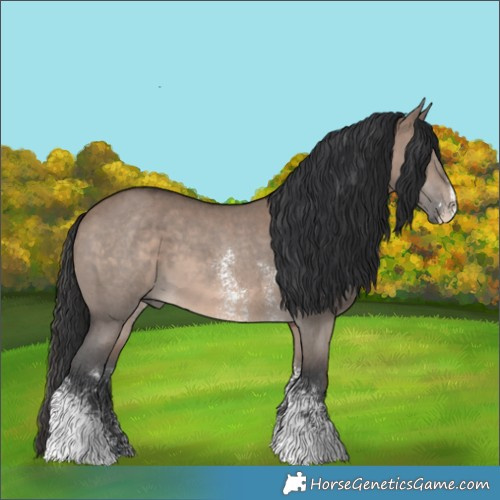 Horse Color:Brown Dun Sabino