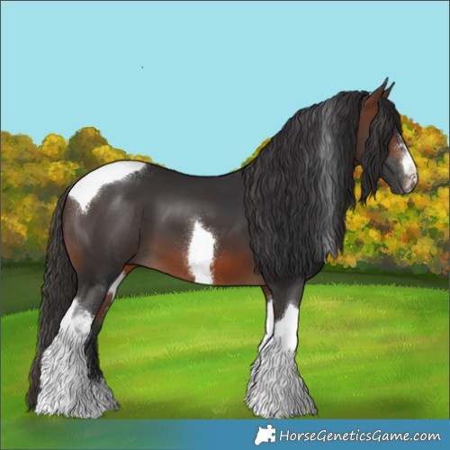 Horse Color:Brown Tobiano 