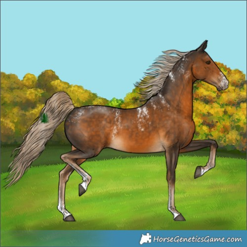 Horse Color:Powder White Chocolate Palomino 