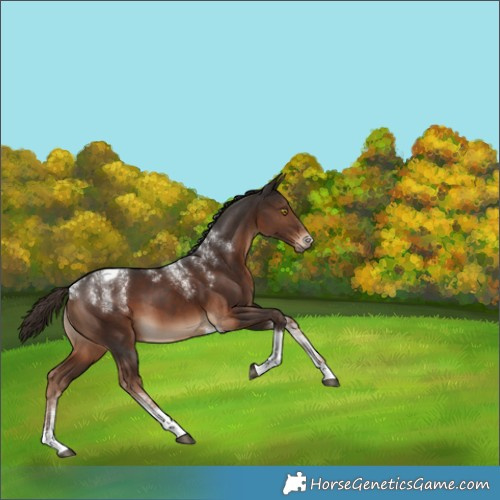 Horse Color:Powder White Liver Chestnut Tobiano