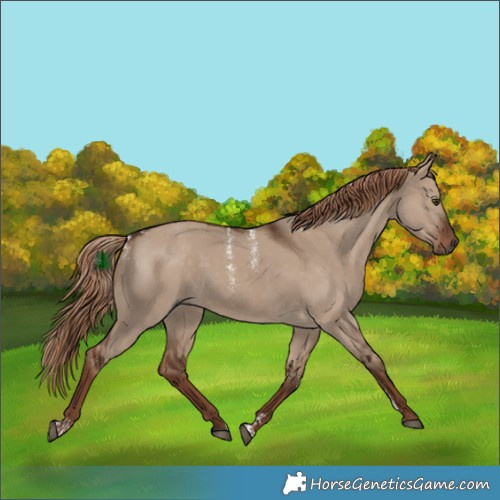 Horse Color:Powder White Liver Red Dun