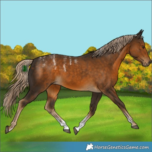 Horse Color:Powder White Chocolate Palomino 