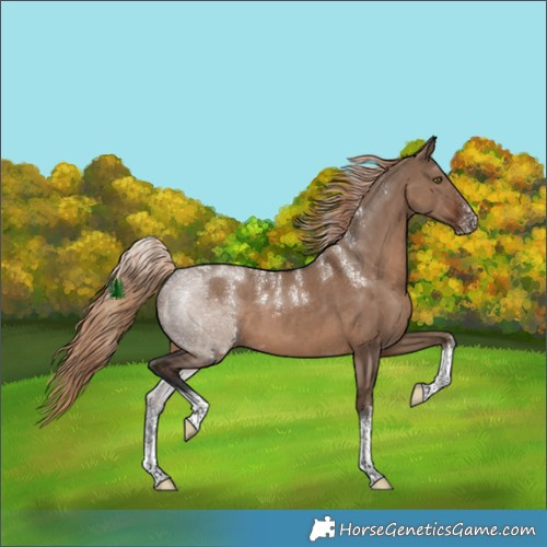 Horse Color:Powder White White Spotted Liver Red Dun 