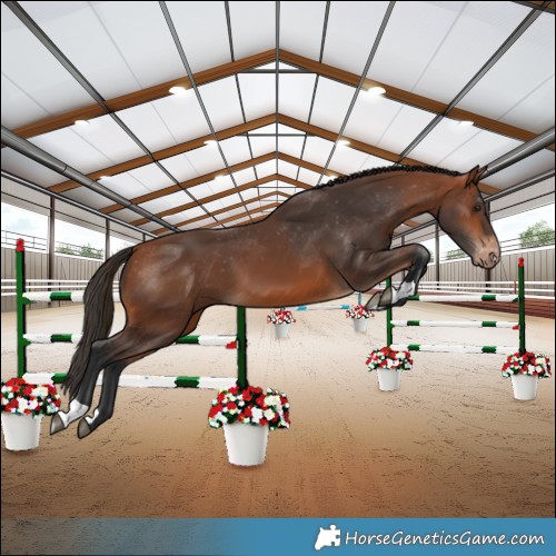 Horse Color:Bay Varnish 