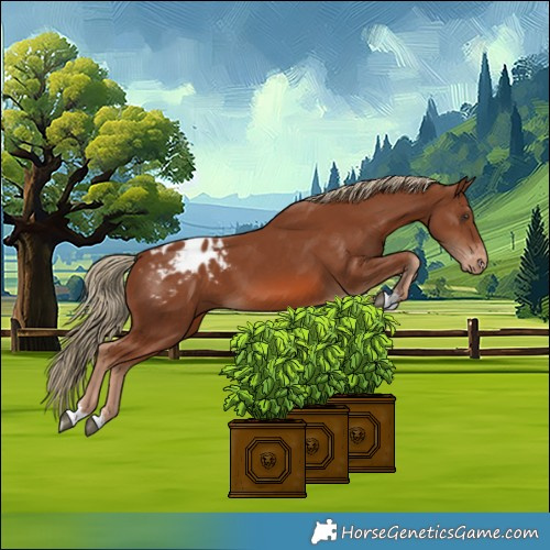 Horse Color:Chestnut Blanket 