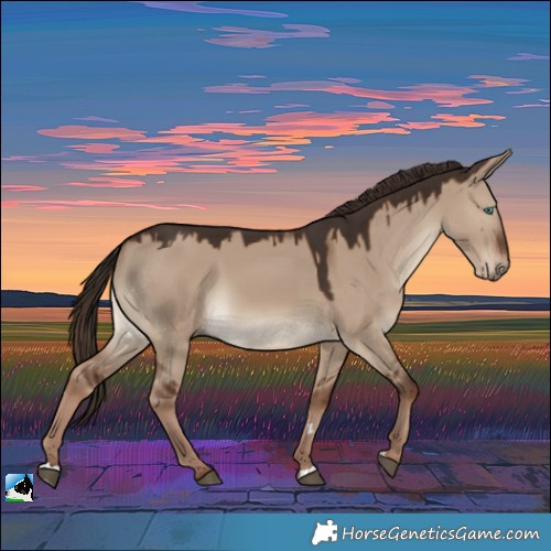 Horse Color:Liver Red Dun 