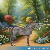 Horse Color:Grullo Merle Splash Rabicano Brindle 