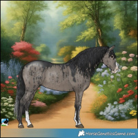 Horse Color:Grullo Sabino Splash Rabicano Brindle 