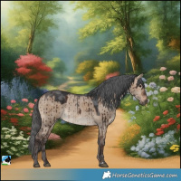 Horse Color:Brown Dun Merle Brindle 