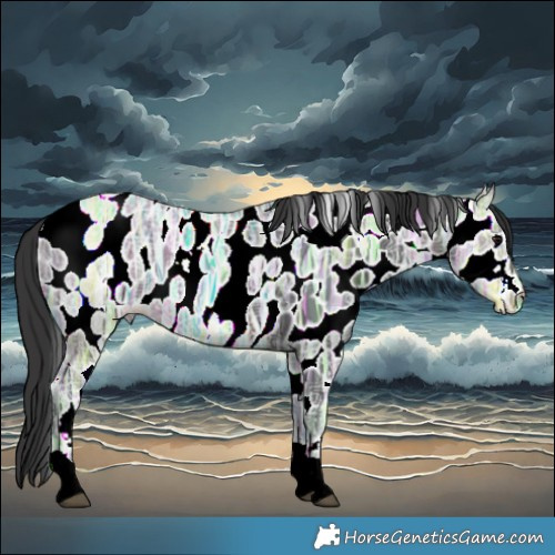Horse Color:Brown Ice Tobiano Leopard
