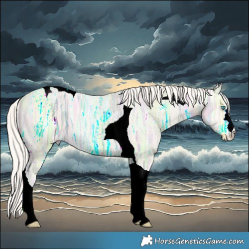 Horse Color:Cremello Ice Tobiano 