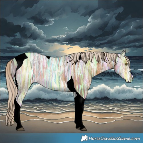 Horse Color:Chocolate Palomino Ice Tobiano