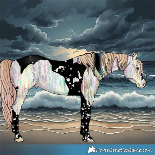 Horse Color:Plaid Chocolate Palomino Ice Tobiano