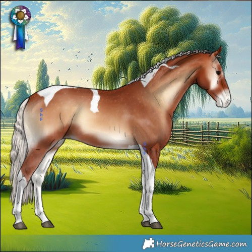 Horse Color:Chocolate Silver Brown Onyx Tobiano Appaloosa 