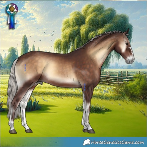 Horse Color:Chocolate Silver Brown Onyx 