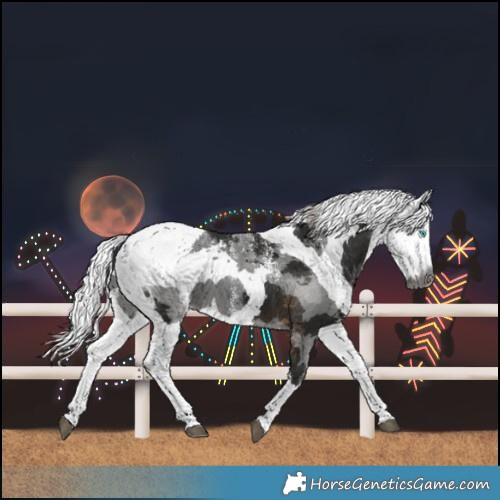 Horse Color:Powder White Gray Silver Smoky Black Merle 