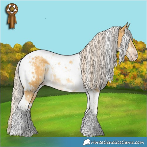 Horse Color:Gold Cream Champagne Dun Sabino Tobiano Rabicano and White Spotted Gold Cream Champagne Dun Tobiano