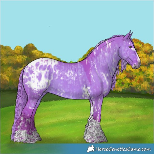 Horse Color:Gray Watercolor White Spotted Liver Red Dun Tobiano Brindle and Gray Watercolor White Spotted Liver Red Dun Splash Tobiano Appaloosa Rabicano