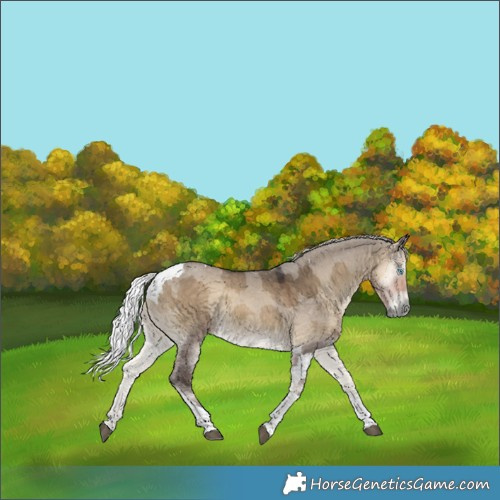 Horse Color:Silver Smoky Grullo Onyx Merle Tobiano 