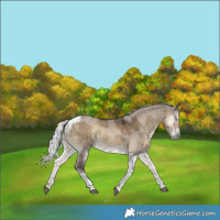 Horse Color:Silver Smoky Grullo Onyx Merle Tobiano