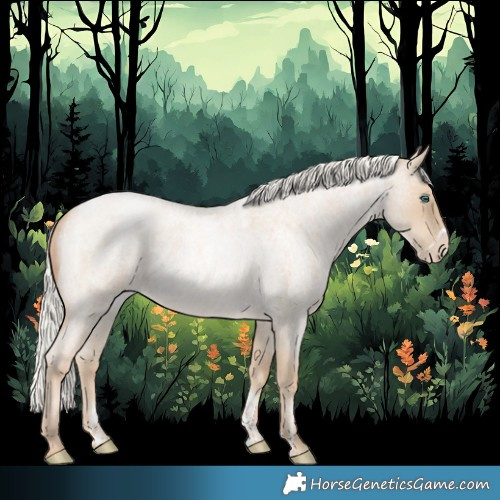 Horse Color:Powder White Silver Buckskin Roan Pearl Frame Rabicano 