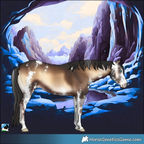 Horse Color:Liver Red Onyx Sabino 