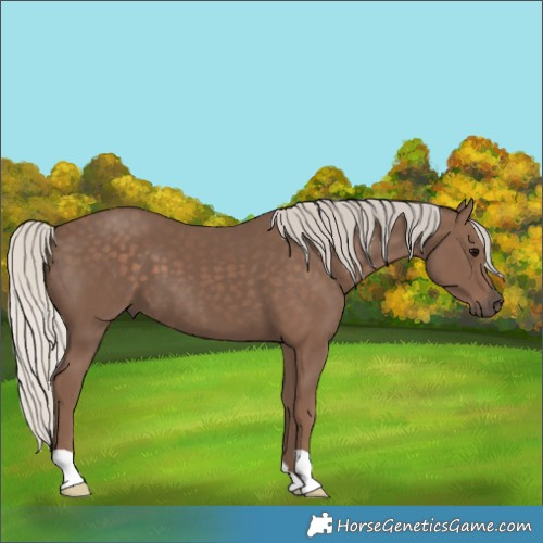 Horse Color:Silver Black 