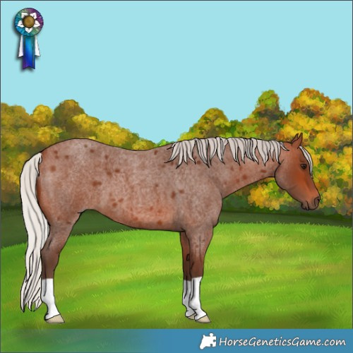 Horse Color:Silver Brown Roan 