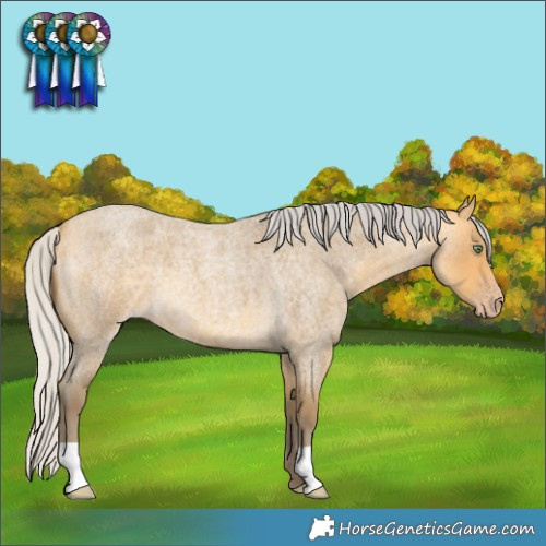 Horse Color:Silver Amber Cream Champagne Roan 