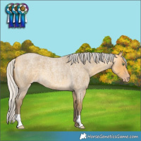 Horse Color:Silver Amber Cream Champagne Roan